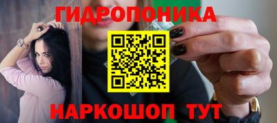 гидропоника Гусиноозёрск